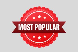 2024-2025 Class Favorites