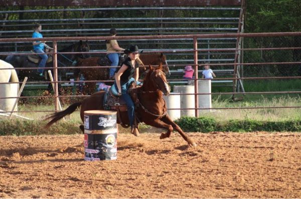 Kailey Ashbrook
